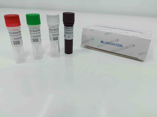 Monkeypox-PCR Test in real time Kit With Positive/Negatieve Controle