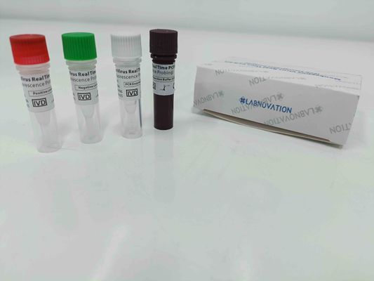 kwaliteit  Real Time Monkeypox PCR Test Kit With Positive / Negative Control fabriek
